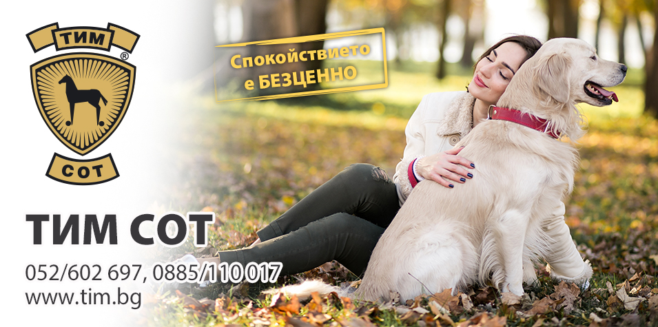 Тимсот - есенни промоции